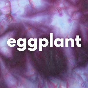 Budget Ice Dye Kit