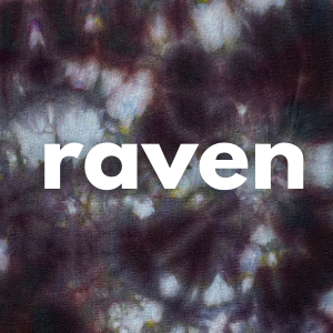 Budget Ice Dye Kit